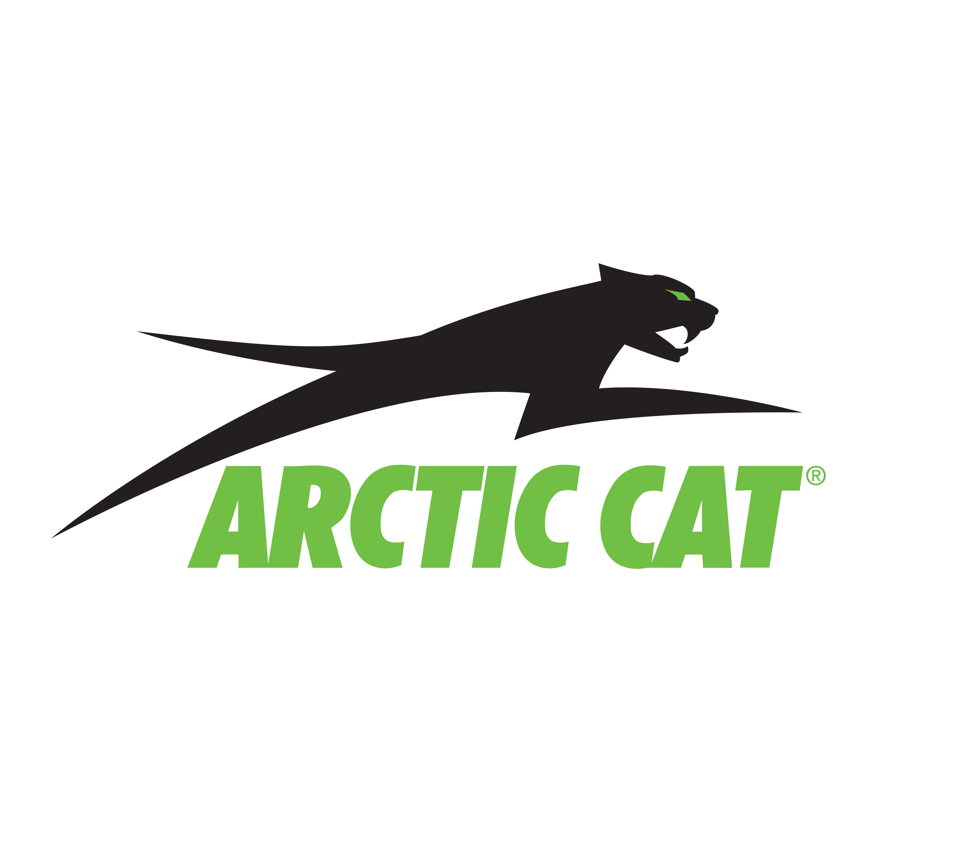Arctic Cat UTV Winch Mount